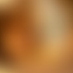 Why You Shouldn’t Miss It