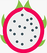 15-150135_dragon-fruit-icon-dragon-fruit