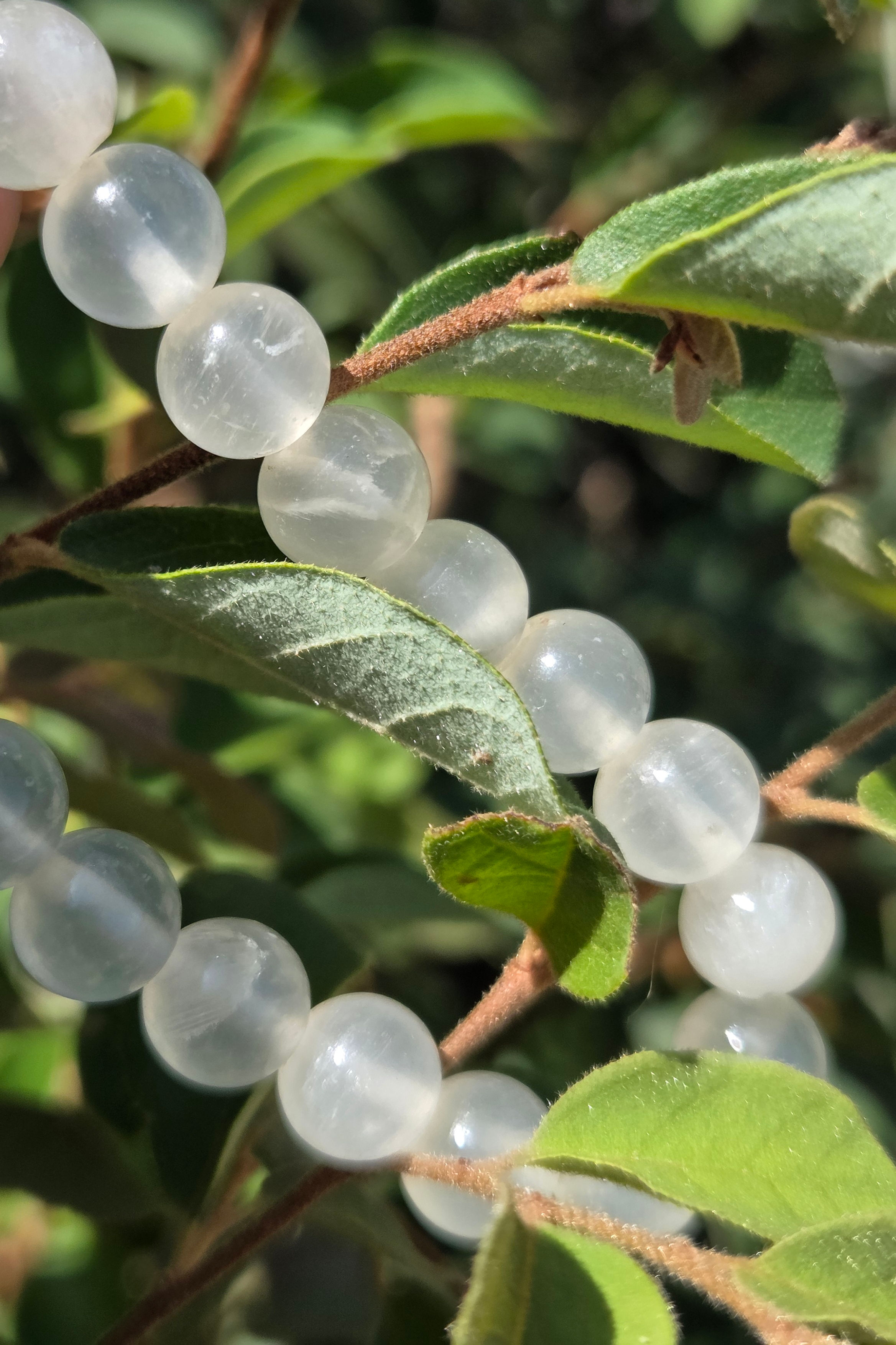 Selenite bracelet