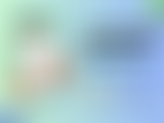 How to create a Shopping list app in MIT App Inventor