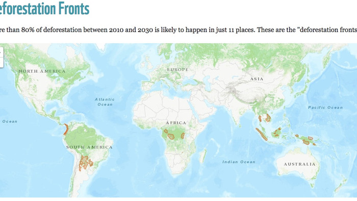 Is Your Credit Card a Chainsaw Causing Deforestation?