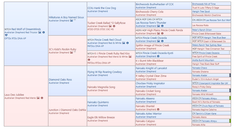 Screenshot 2022-12-20 at 7.14.08 PM.png