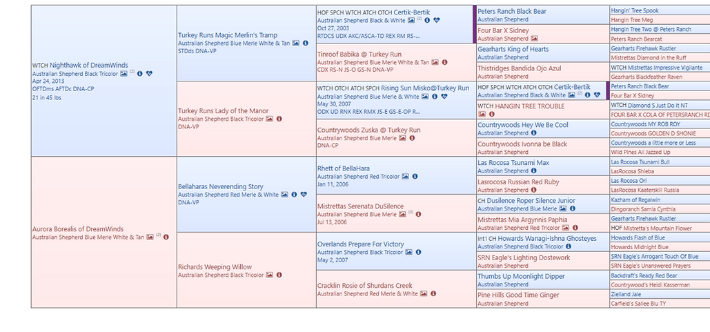 Screenshot 2022-12-20 at 6.58.49 PM.png