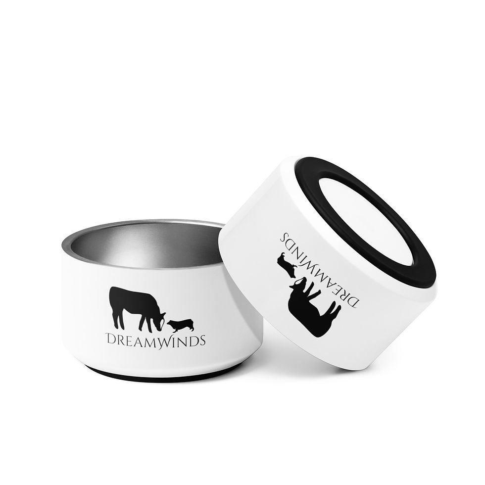 Thumbnail: Pet bowl
