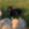 p304.png