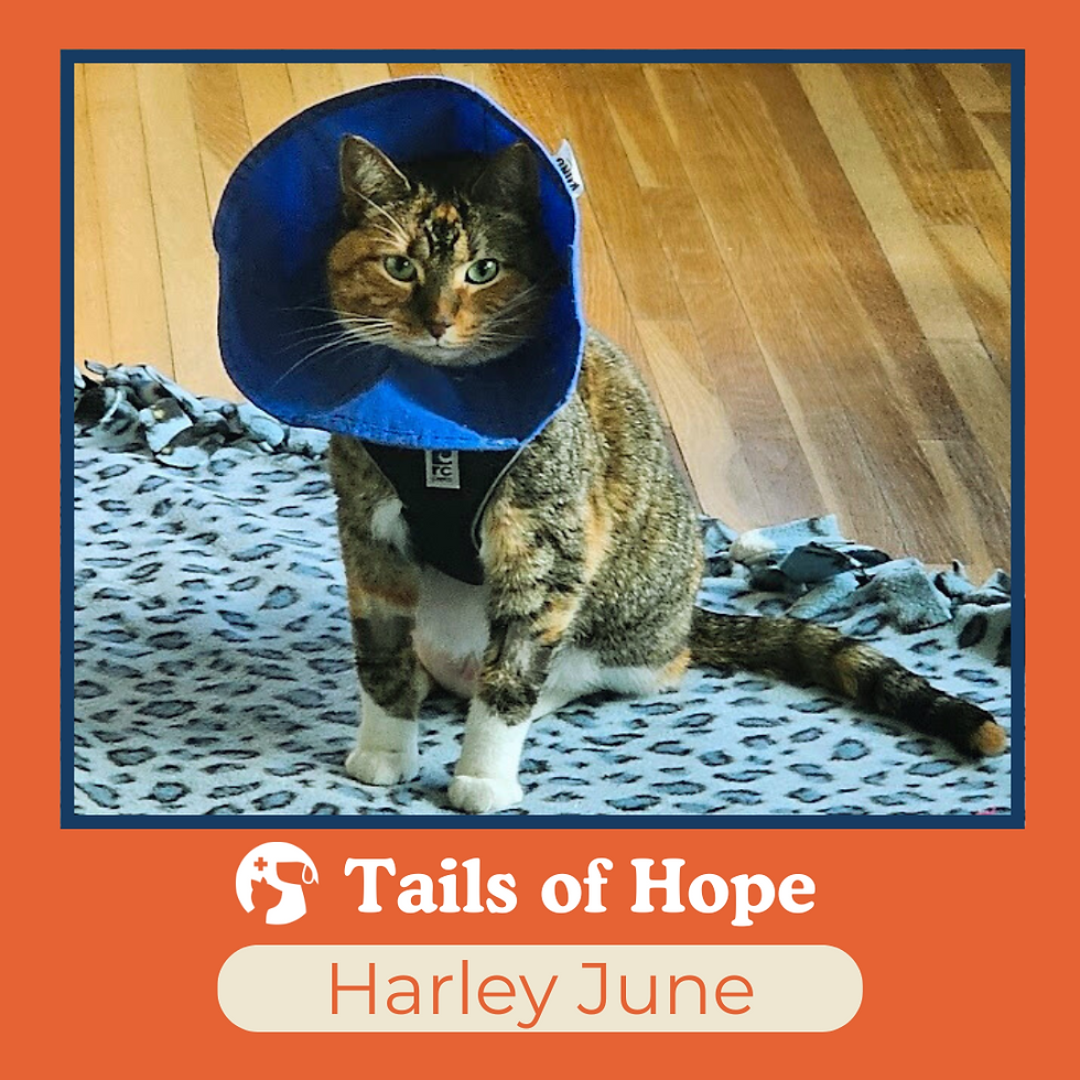 Harley June