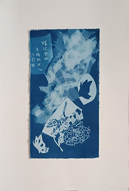 cyanotype rêve de papillon
