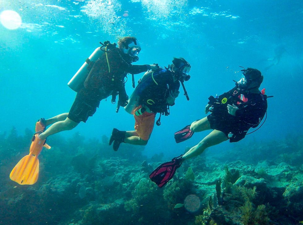 Inside Adaptive Dive Buddy Training: How You Become One