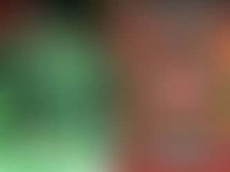 NFL Playoffs Continued: Philly vs. Tampa Bay