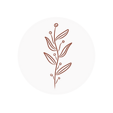 Untitled (Instagram Post).png