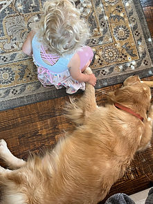 IMG_2115.jpeg