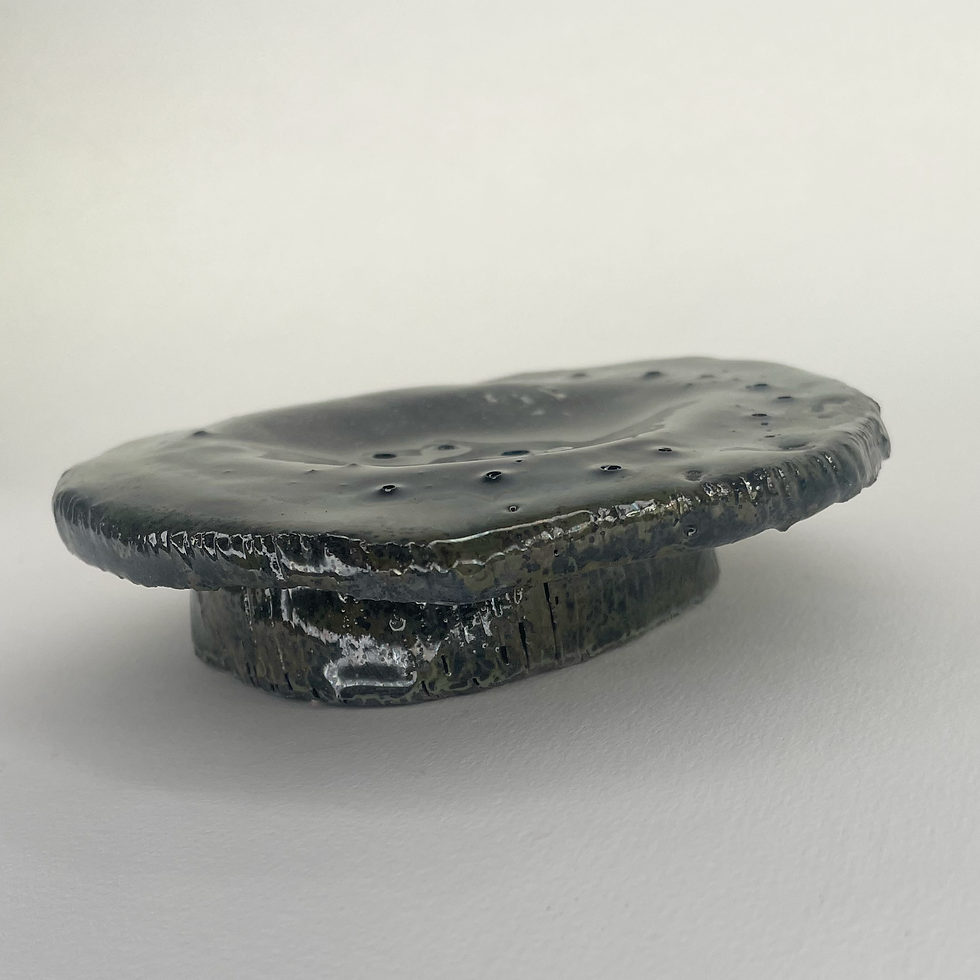 Thumbnail: Plate crocodile eye