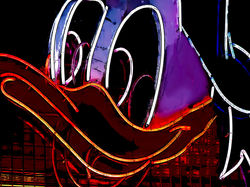 3763-On-the-trail-of-Donald-Duck