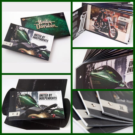 Harley Direct Mailer