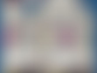 Northwestern Stepped Brochure