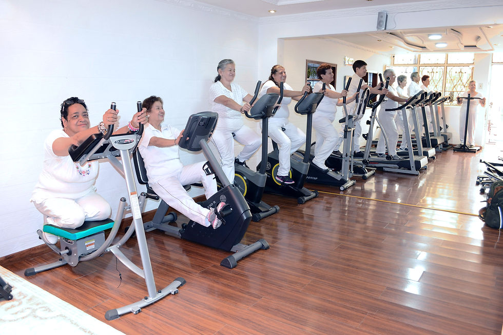 Gimnasio Terapéutico