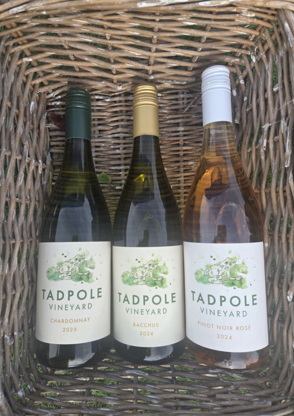 tadpole wine.jpg