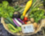 Organic