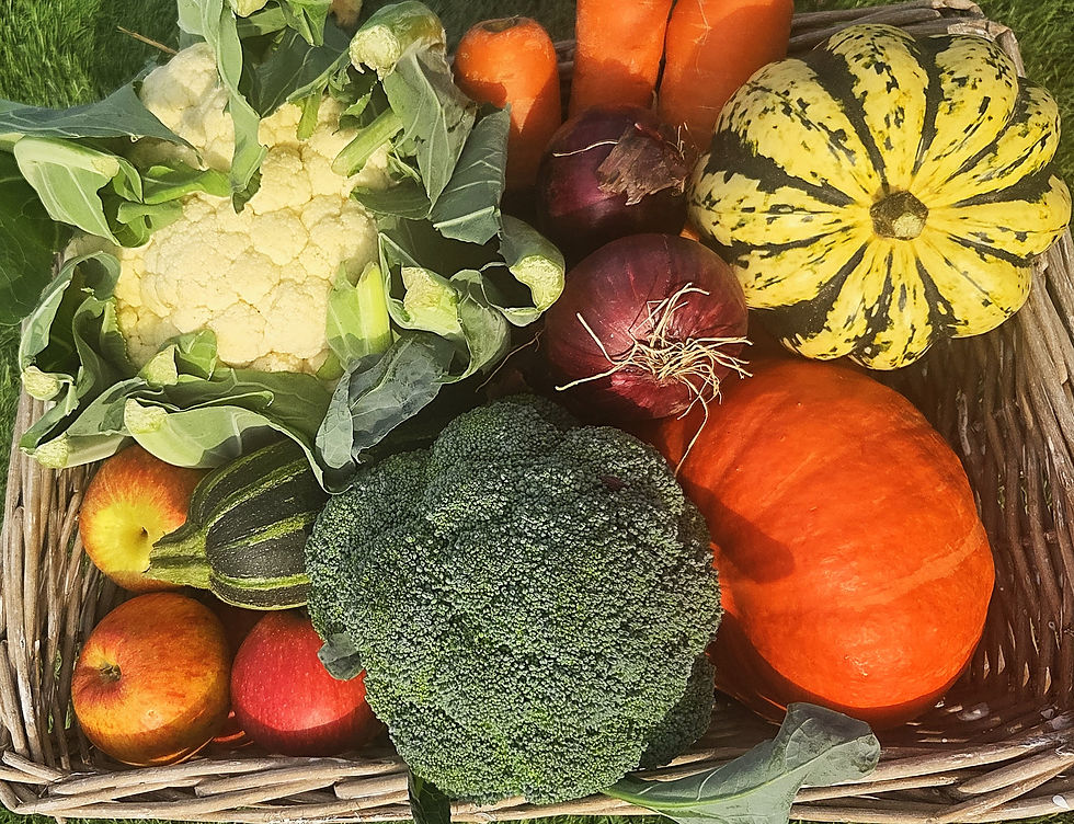 Fruit and Veg Autumn .jpg