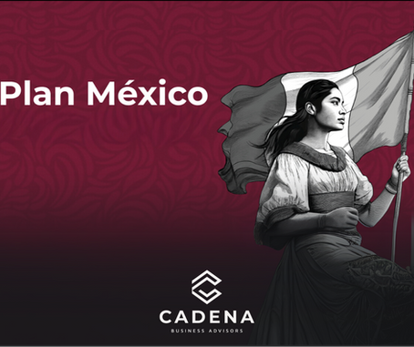 TAX INCENTIVE: PLAN MEXICO 2025