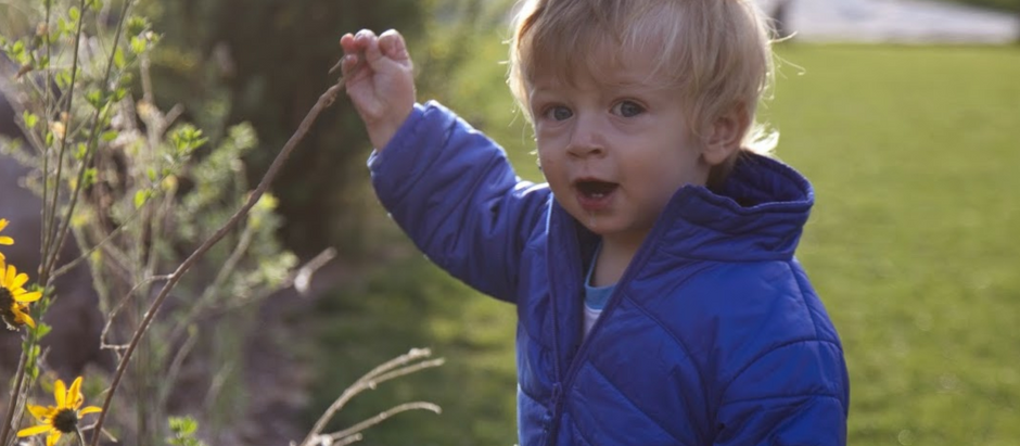 Andamos Limando (de nuevo): La fiebre del Colca