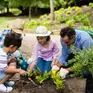 Gardening_with_Family.webp