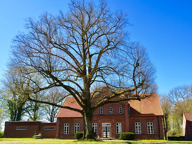 Hof Hellerholz Frühling