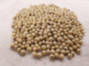 Soya bean (100kg)