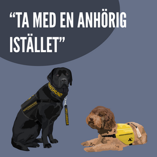 Text: "TA MED EN ANHÖRIG ISTÄLLET". Nedanför sitter en svart labrador med ett svart assistanshundstäcke, ett svart assistanshundshalsband och en svart flärp med texten JAG LARMAR hänger från halsbandet. Till höger ligger en brun beige lagotto med ett gult assistanshundstäcke.
