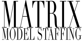 Matrix Model Staffing Logo