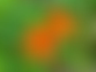 現在の空き時間(7月8日現在)