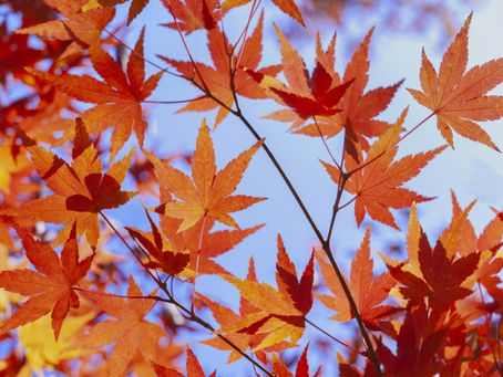 授業可能時間と空き時間待ちについて