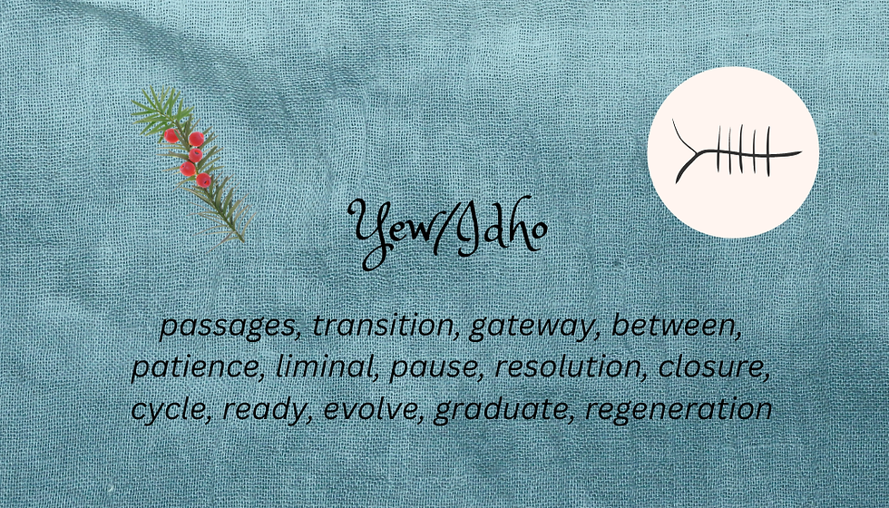 Ogham Tuesday: Yew/Idho