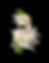 Thumbnail: Charming Calla Corsage & Boutonniere Sets