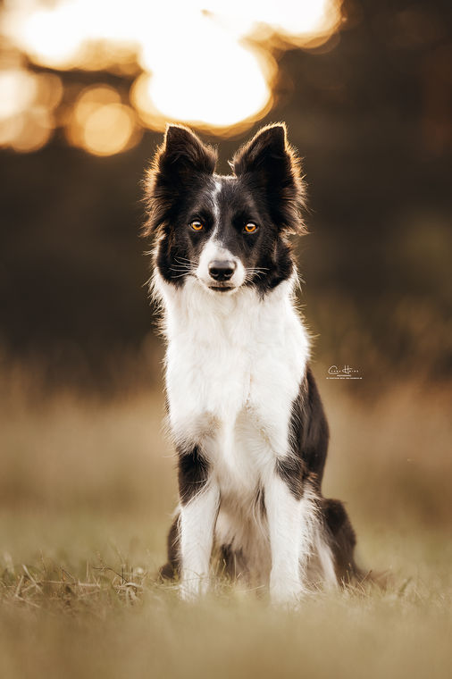 ClaraHeinzPhotography_T7A4700 Kopie.jpg.WEB.jpg