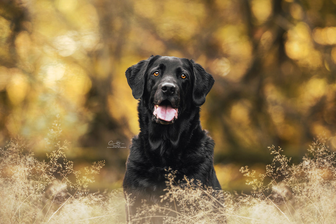 ClaraHeinzPhotography_T7A9371 Kopie.WEB.jpg