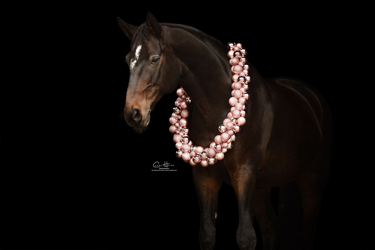 ClaraHeinzPhotography_T7A5623 Kopie.jpg