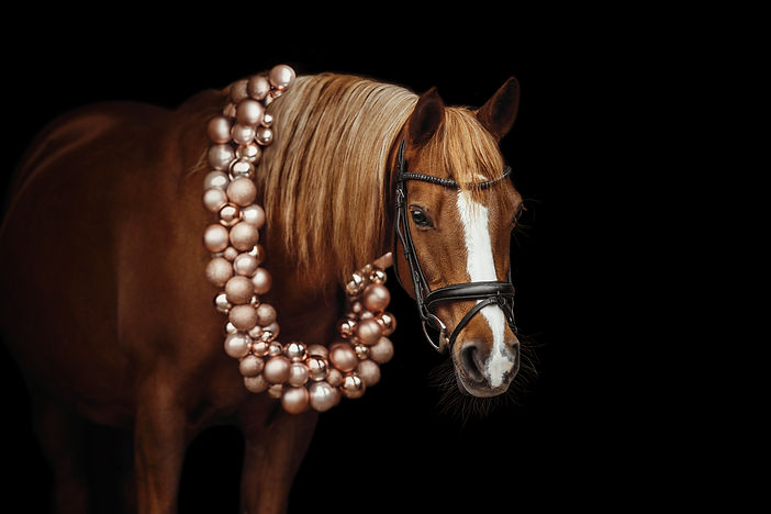 ClaraHeinzPhotography472A8703 Kopie.jpg