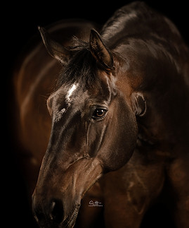 ClaraHeinzPhotography_T7A2393 Kopie.jpg.WEB.jpg