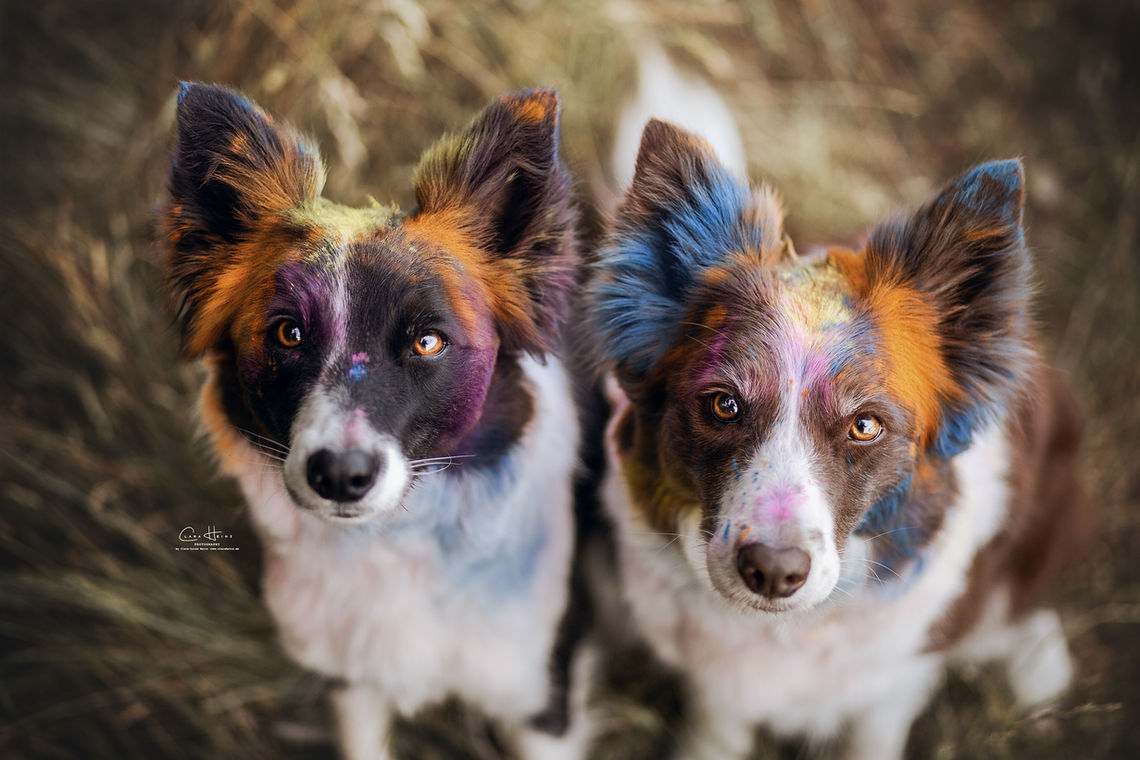 _T7A4558 Kopie.jpg.WEB.jpg