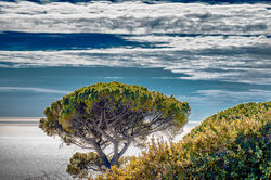 Mediterranean Sky