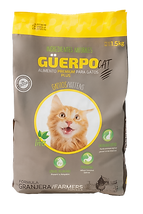 ChatGPT Image 17 sept 2025, 10_21_52.png