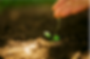 圖片12.png