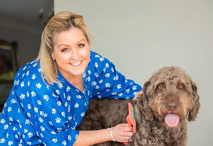 dog grooming courses 1.jpeg