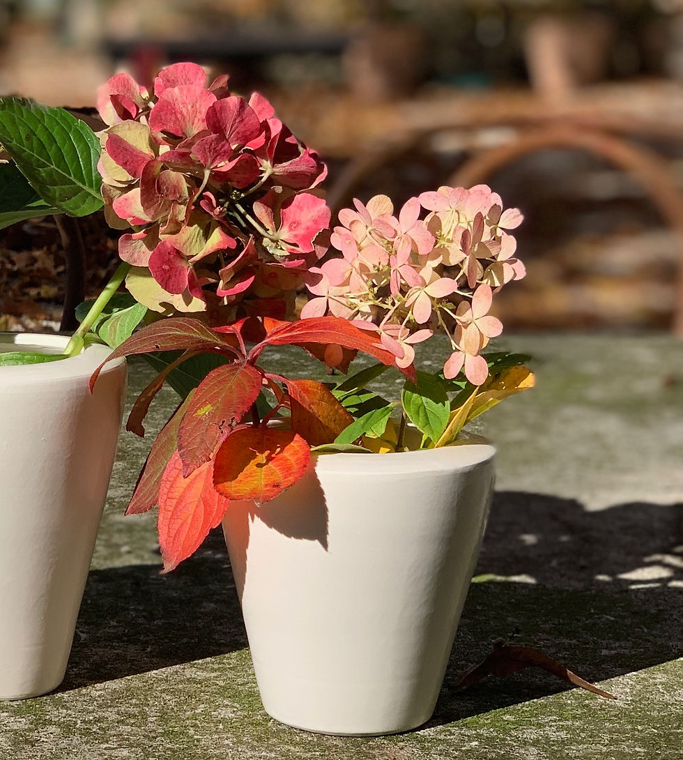 Thumbnail: White Vase 2