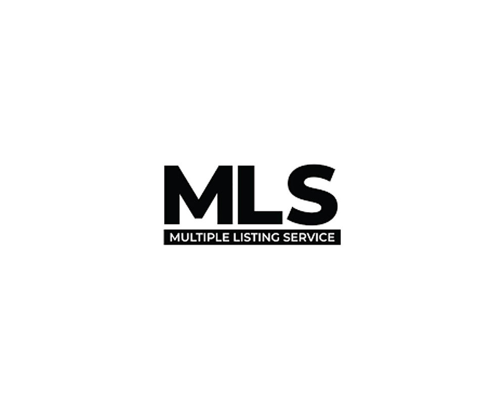 MLSlogo-website