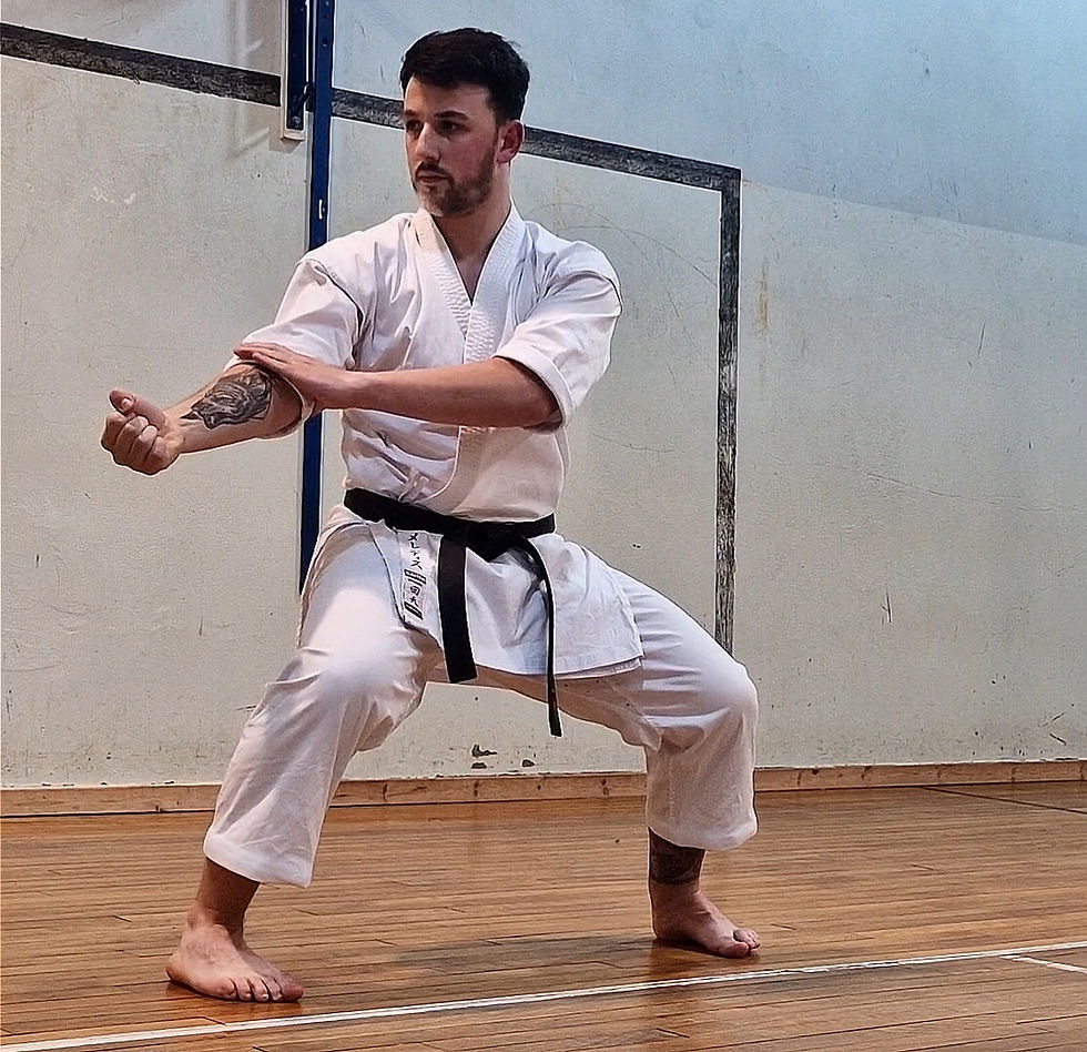 Solo Training - Tekki Nidan