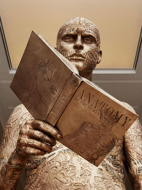 A Review of “Medicine: The Wellcome Galleries” at the Science Museum in London