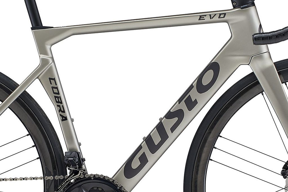 Thumbnail: Gusto - Cobra Evo - Pro TE - Road Bike