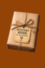 Mystery Book!